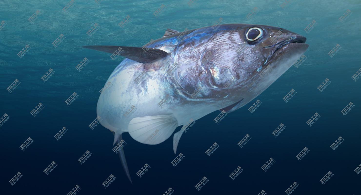 images/goods_img/20210319/Tuna Fish (Animated) 3D/3.jpg
